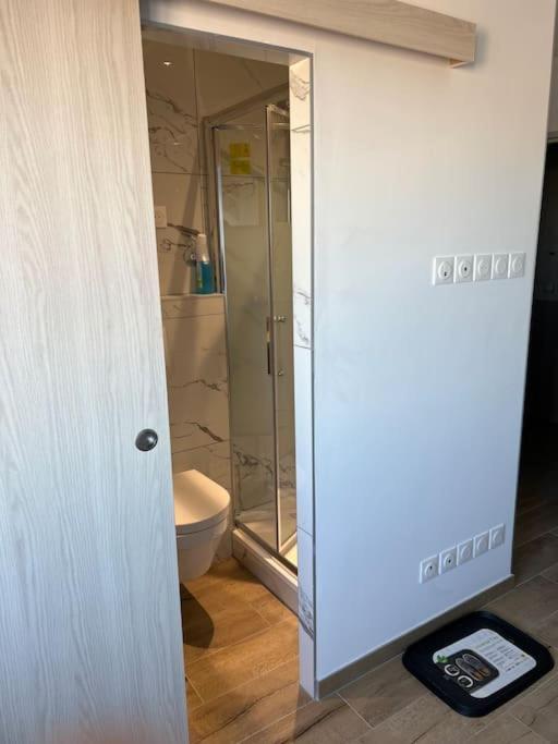 Super Studio En Face De La Gare De Mulhouse Apartment Ngoại thất bức ảnh