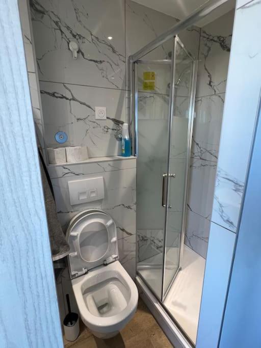 Super Studio En Face De La Gare De Mulhouse Apartment Ngoại thất bức ảnh